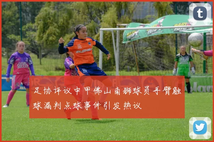 足协评议中甲佛山南狮球员手臂触球漏判点球事件引发热议