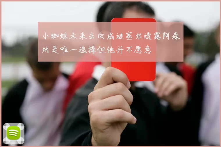 小蜘蛛未来去向成谜塞尔透露阿森纳是唯一选择但他并不愿意